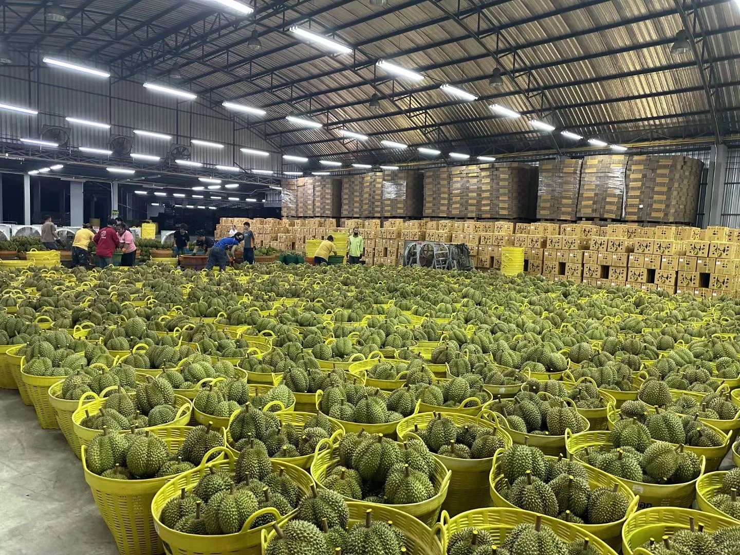 食品安全への姿勢